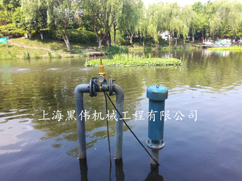 河道治理沉水式鼓麻豆黄色电影 河道治理沉水式鼓麻豆黄色电影
